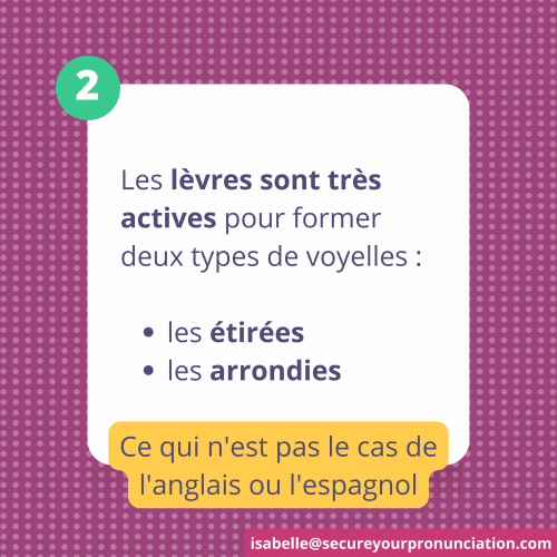 Les lèvres sont actives pour former les voyelles étirées et arrondies